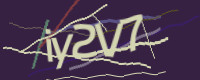 This is a Captcha (http://en.wikipedia.org/wiki/Captcha), you need a graphical browser to display it.