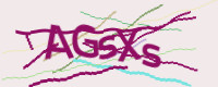 This is a Captcha (http://en.wikipedia.org/wiki/Captcha), you need a graphical browser to display it.